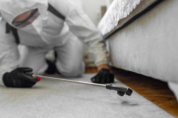 Professional Bed Bug Control technician working in Jackson County County, WV